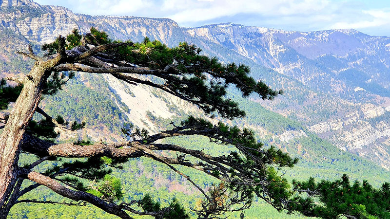Канатная дорога в Крыму